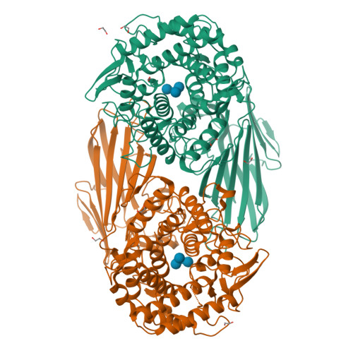 Structure 24IL