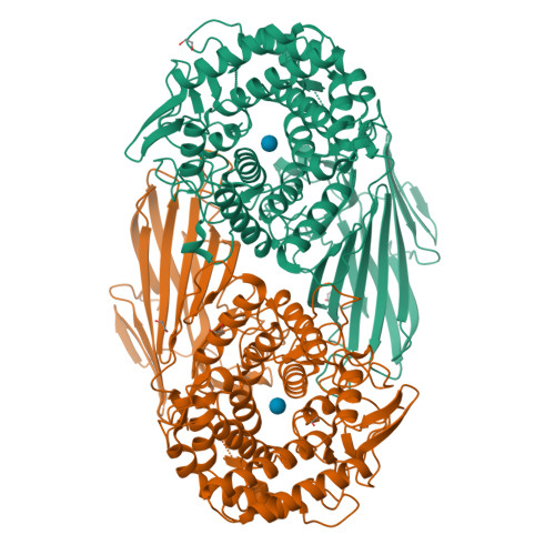 Structure 24IS