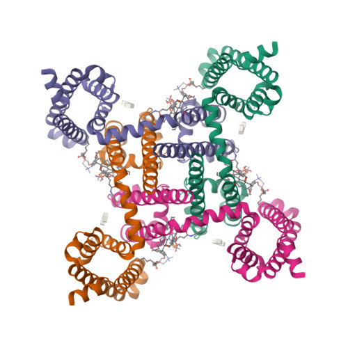 Structure 24JS