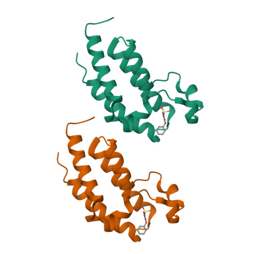Structure 24KN