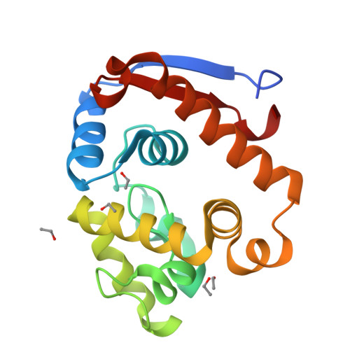 Structure 24MP