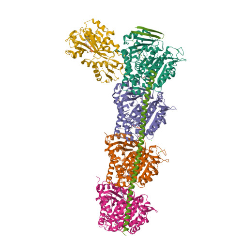 Structure 24PT