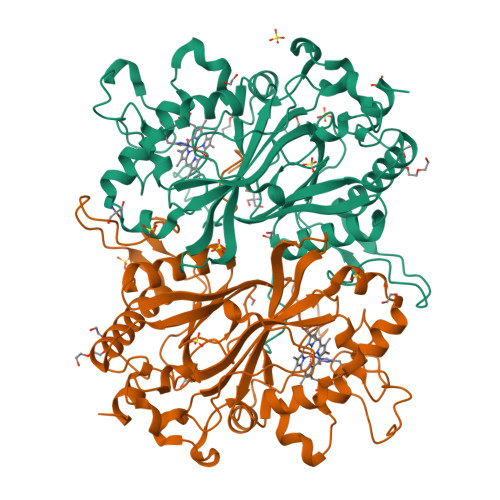 RCSB PDB - 24RQ: Crystal structure of Pseudomonas fluorescens ...