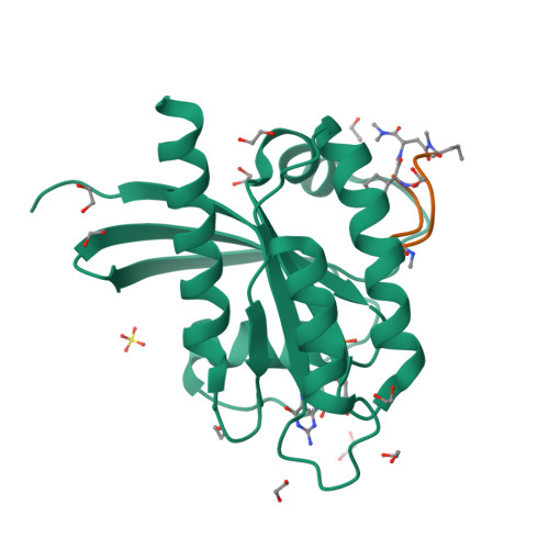 Structure 24SS