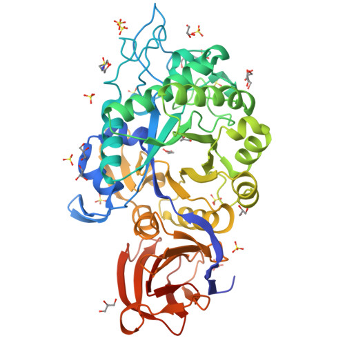 Structure 24TD
