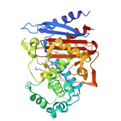 Structure 24TN