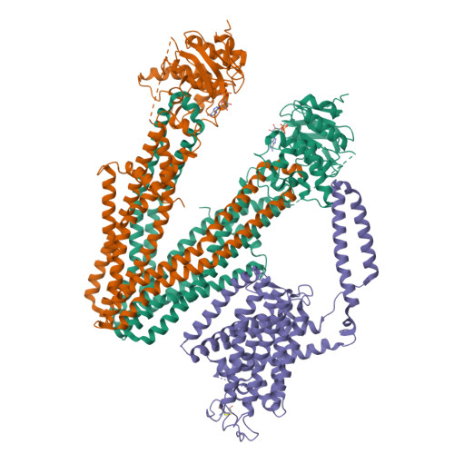 Structure 24VE