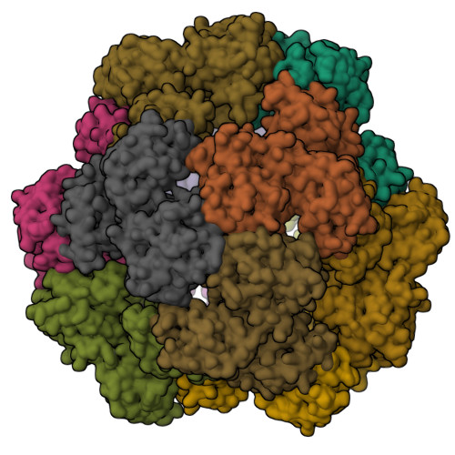 Structure 24XX