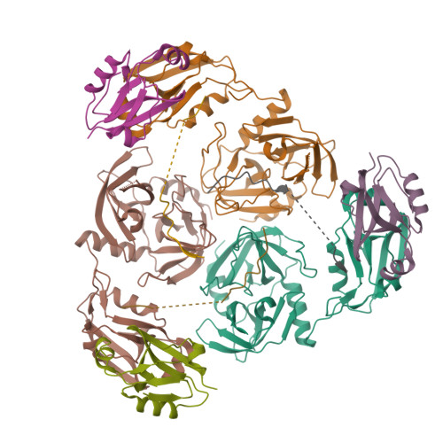 Structure 24YE