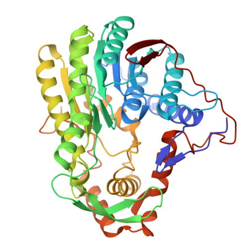 Structure 24YK