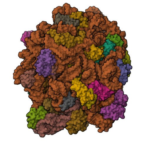 Structure 24YW