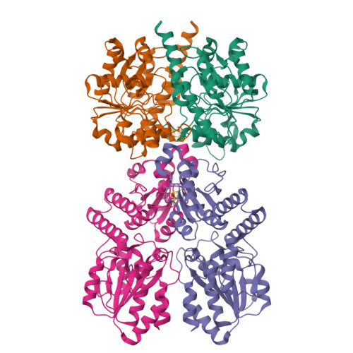 Structure 25AZ