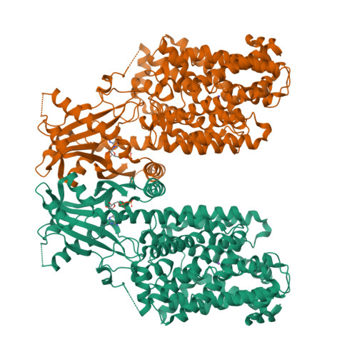 Structure 25EX