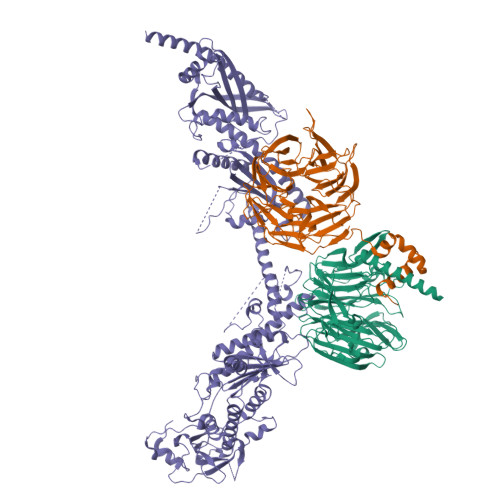 Structure 25GE