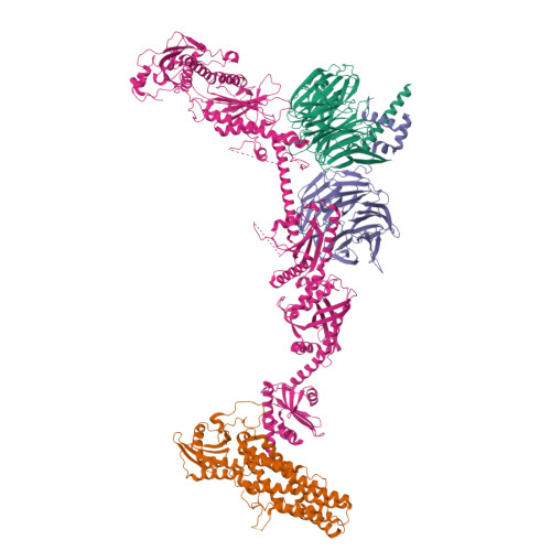 Structure 25GF