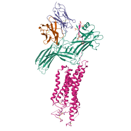 Structure 25GN