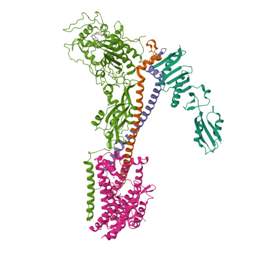 Structure 25HR