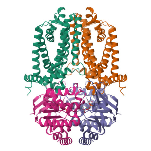 Structure 25IO