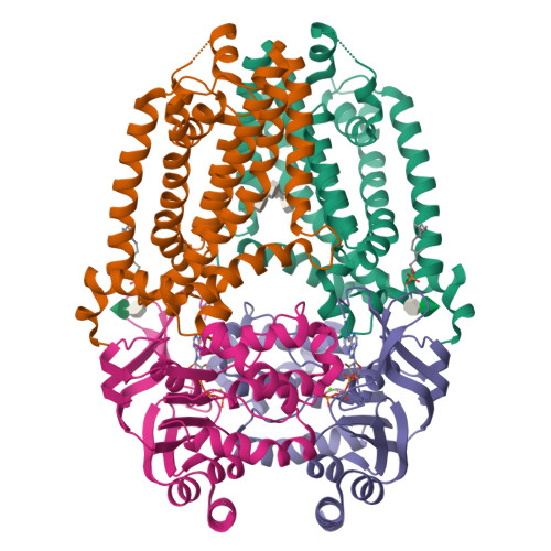 Structure 25IP