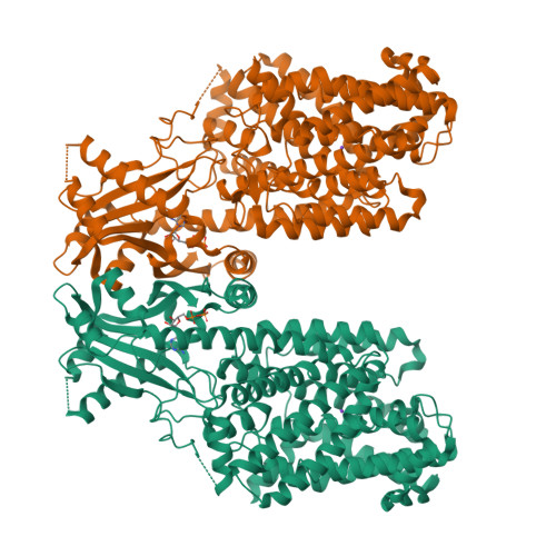 Structure 25JN