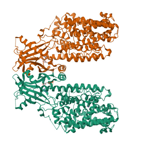Structure 25JP