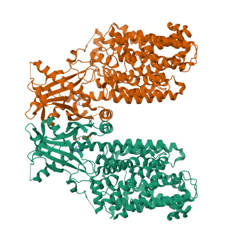 Structure 25JX