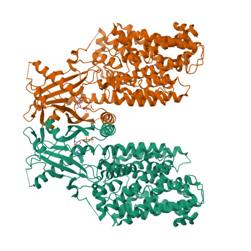 Structure 25LE