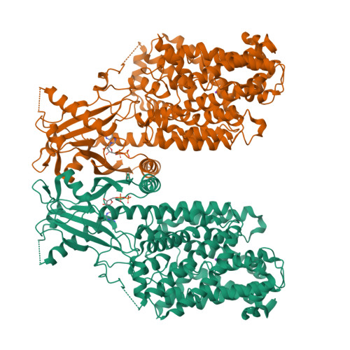 Structure 25LV