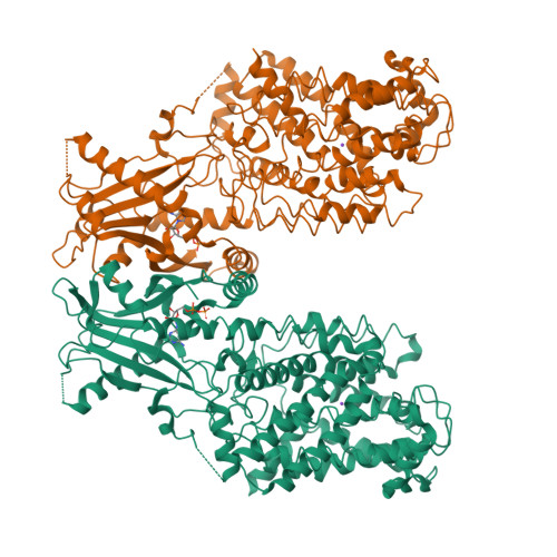Structure 25MI