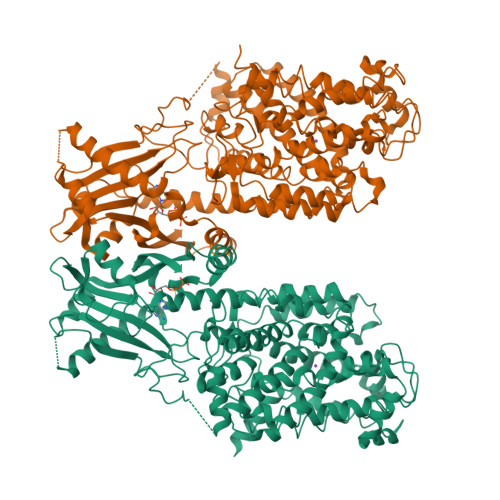 Structure 25MJ