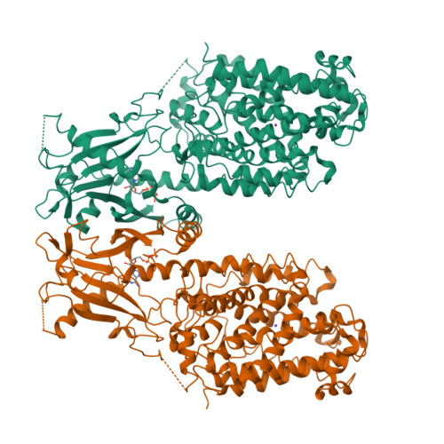 Structure 25MK