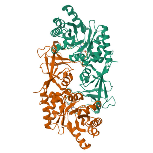 Structure 25MN