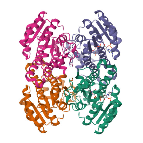 Structure 25OY