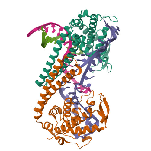 Structure 25QL