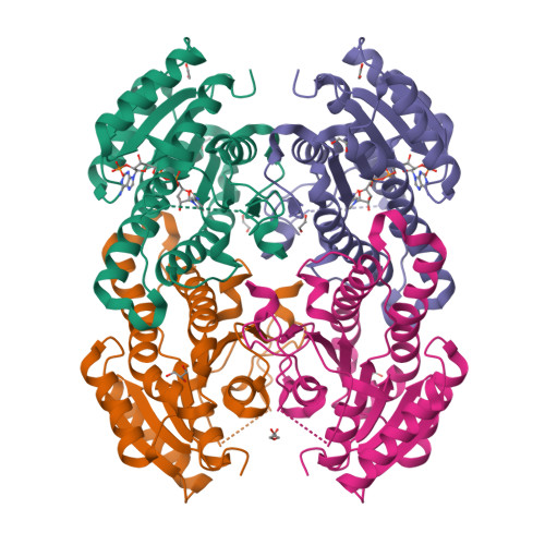 Structure 25RU