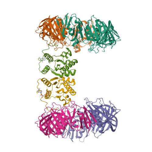 Structure 25RZ
