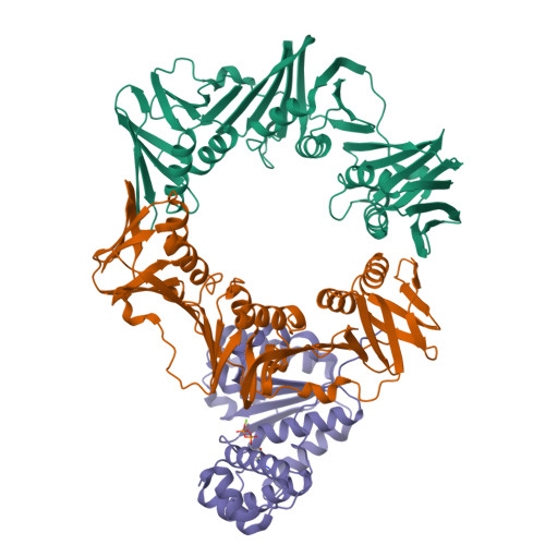 Structure 25SA