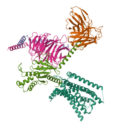 Structure 25SU