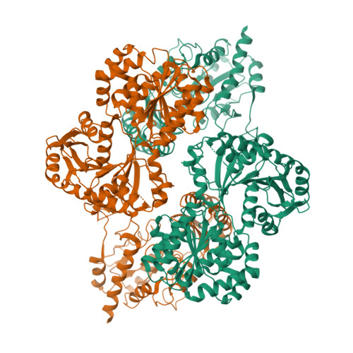Structure 25SX