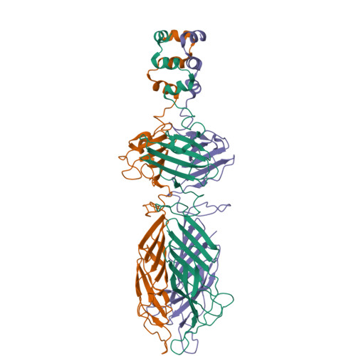 Structure 25VE