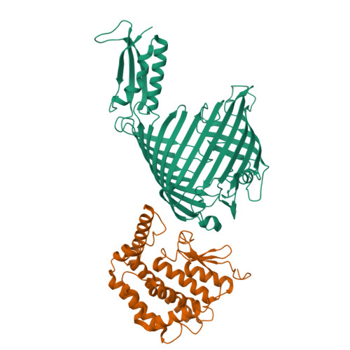 Structure 25WG