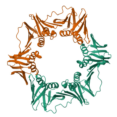 Structure 25WZ