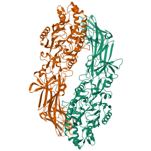 Structure 25YL