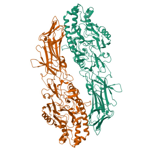 Structure 25YN