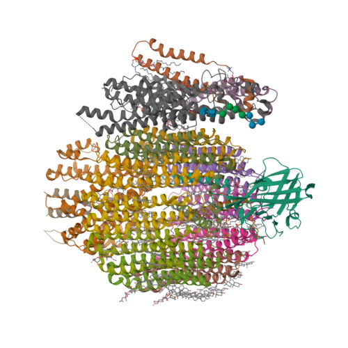 Structure 25YS