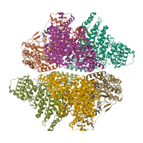 Structure 26CZ