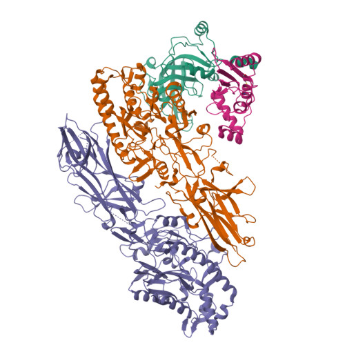 Structure 26ED