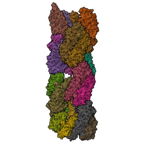 Structure 26EL