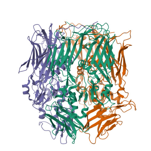 Structure 26FE