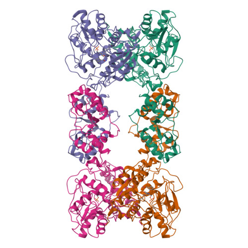 Structure 26GA